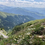 Pr&auml;ttigauer Alpweiden