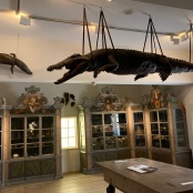 Realien-Sammlung f&uuml;r den Schul-Unterricht