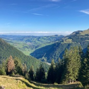 ... wundersch&ouml;ne Welt