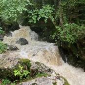 die B&auml;che f&uuml;hren sehr viel braunes Wasser