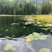 am sch&ouml;nen Schw&auml;ndisee