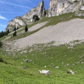 kleiner Aufstieg zum Tor