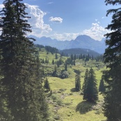 B&ouml;dmeren Urwald