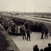 historische Bilder: Ankunft der Opfer in Viehw&auml;gen, Sortierung