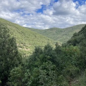 durch die Wildnis nach St.Jean du Gard